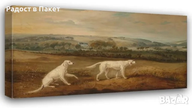 Картина на платно,печат-"Blush and Juno",100x50см