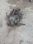 теглич за Форд Конект, снимка 2