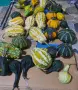 Продавам кратунки микс, снимка 2