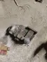 части за владимироврц т25 , снимка 6