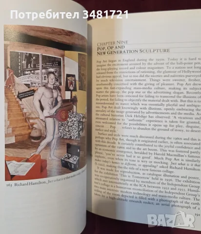 British Art Since 1900, снимка 9 - Изкуство, музика, кино и фотография - 56715975