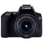 Canon 250D и 3 обектива, снимка 1