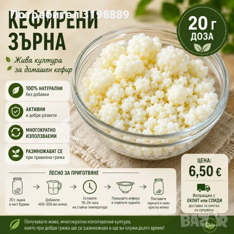 Кефирени зърна 20 г за домашен кефир