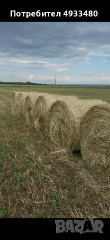 Бали питомен овес с люцерна