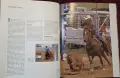 Encyclopedia of the Horse, снимка 16