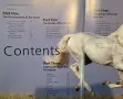 Encyclopedia of the Horse, снимка 3