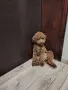 Продавам мини пудел, снимка 6