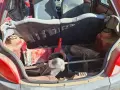 Ford Ka,продава се цял., снимка 18