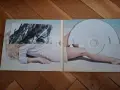 Камелия - Еротика - Erotica - поп фолк, снимка 2