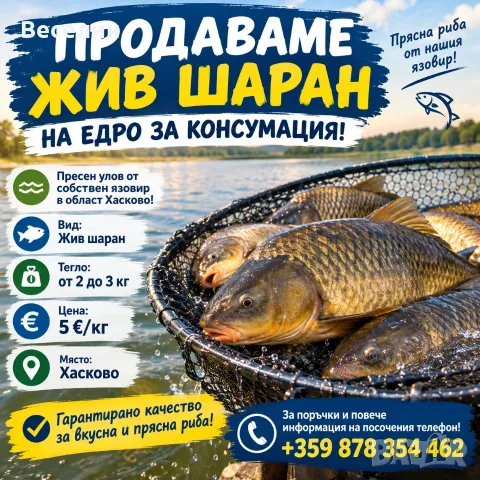 ЖИВ ШАРАН НА ЕДРО ОТ СОБСТВЕН ЯЗОВИР