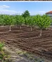 Продавам парцел в Слънчева лъка Айтос , снимка 6