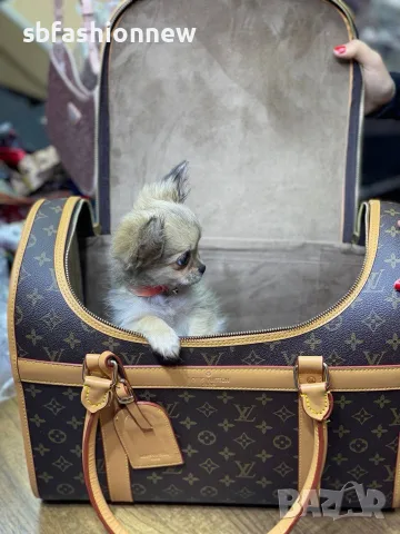 Louis Vuitton чанта за куче или коте, снимка 3 - За кучета - 56629850