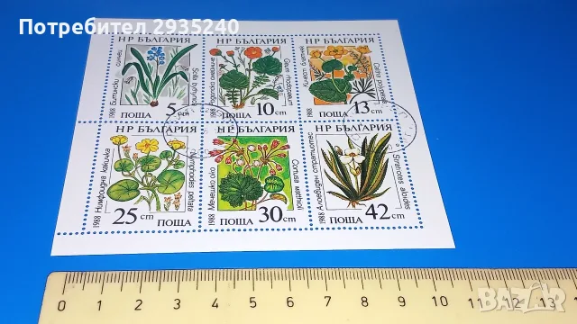 Филателия България - блокове, снимка 12 - Филателия - 56584324