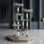 котешка драскалка, снимка 2