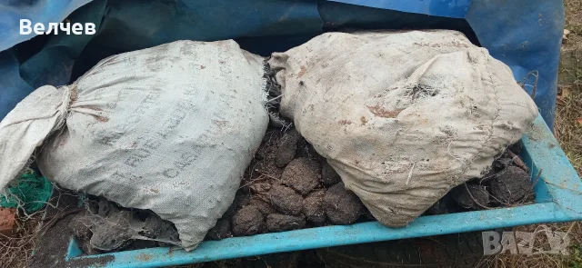 дърва ,въглища..., снимка 2 - Дърва за огрев - 56653042