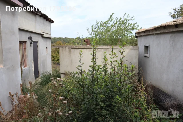 Продавам 2 къщи в село Близнаци, снимка 8 - Къщи - 56741179
