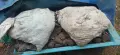 дърва ,въглища..., снимка 2