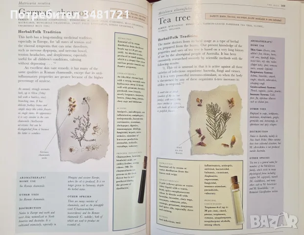 The Illustrated Encyclopedia of Essential Oils, снимка 10 - Здраве, медицина и спорт - 56715727