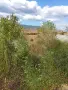 Продава се Парцел в с.Бараково, снимка 11