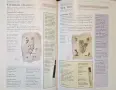 The Illustrated Encyclopedia of Essential Oils, снимка 10