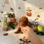 Toy poodle той пудел, снимка 2