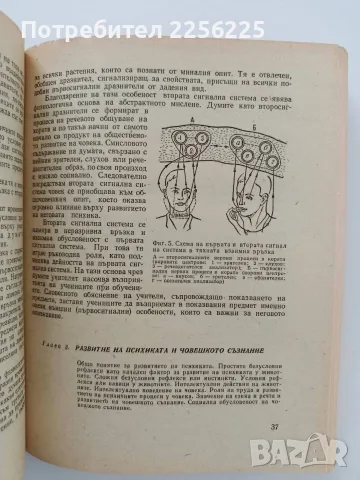 Спортна психология, снимка 14 - Специализирана литература - 56677962