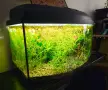 Аквариум с риби 60см и стойка, снимка 2