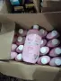 Козметика на едро и пале , снимка 12