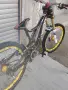 Продава се Davinci Wilson 2017 , снимка 3