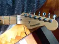 Fernandes stratocaster, снимка 3
