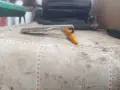 Ретро отварачка на капачки, снимка 2