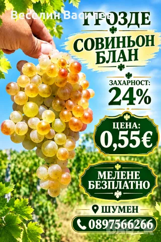 СОВИНЬОН БЛАН 0,55€+БЕЗПЛТНО СМИЛАНЕ