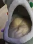 Уютна коледна къща за Коте, снимка 3