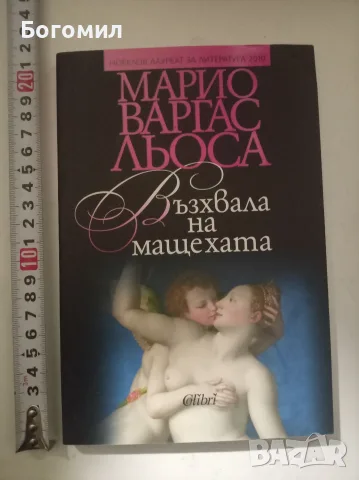 Възхвала на мащехата Марио Варгас Льоса