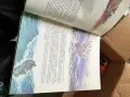 Книги разнообразни, снимка 10