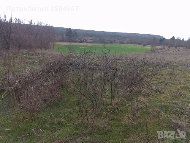 Продавам 5 имота Обединени , снимка 11 - Къщи - 56623679