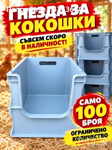 пилешко яйчарник