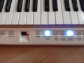 Roland AX-09 Keytar, снимка 3