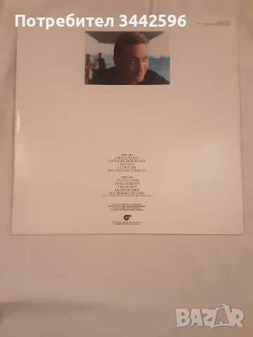 Chris Rea On the beach, снимка 6 - Грамофонни плочи - 56571608