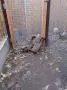 Патици Каки Кембъл, снимка 2