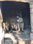 белгийски овчарки, снимка 3