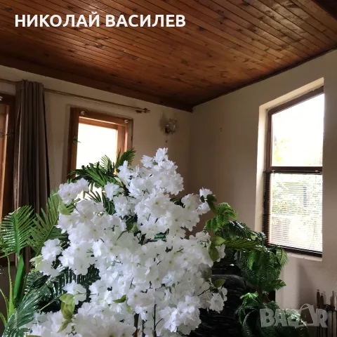 Боядисване   на   апартаменти  .   : Лакиране на подове / и други  дървени  повърхности  .