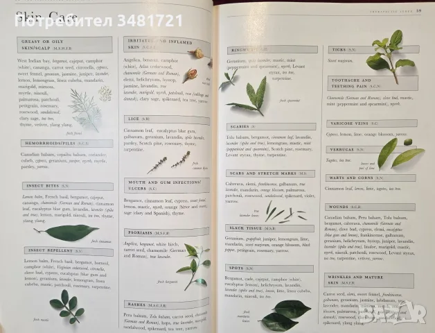 The Illustrated Encyclopedia of Essential Oils, снимка 7 - Здраве, медицина и спорт - 56715727