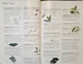 The Illustrated Encyclopedia of Essential Oils, снимка 7