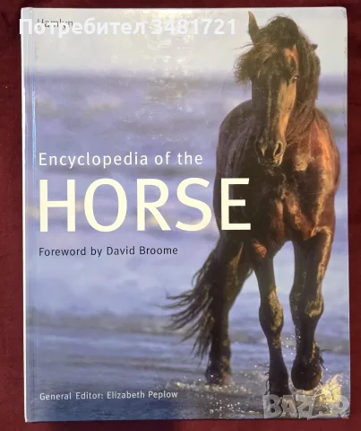 Encyclopedia of the Horse