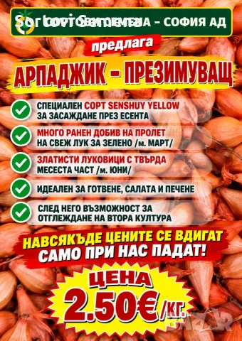 АРПАДЖИК – ПРЕЗИМУВАЩ - внос Нидерландия