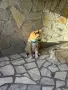 Американка акита , снимка 16