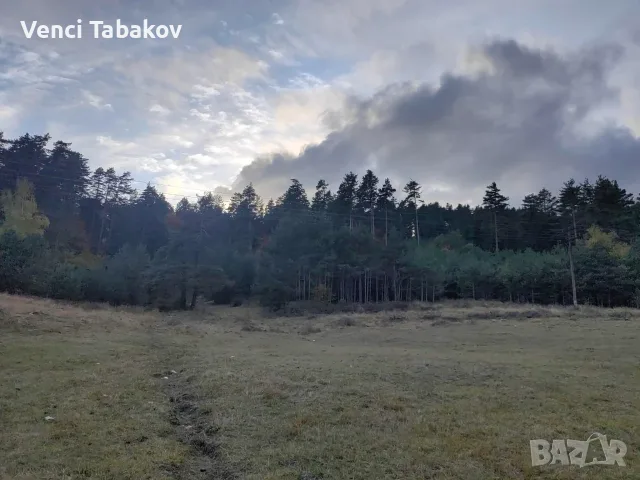 Земеделска земя, снимка 5 - Земеделска земя - 56584734