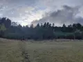 Земеделска земя, снимка 5