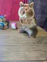 Различни модели бухали, снимка 5